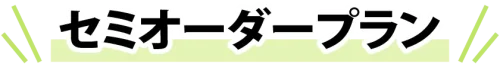 セミオーダープラン見出し
